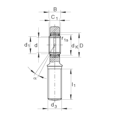 桿端軸承 GAL6-DO, 根據 DIN ISO 12 240-4 標準，帶左旋外螺紋，需維護